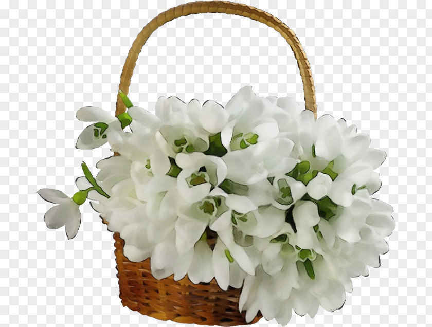 Floral Design PNG