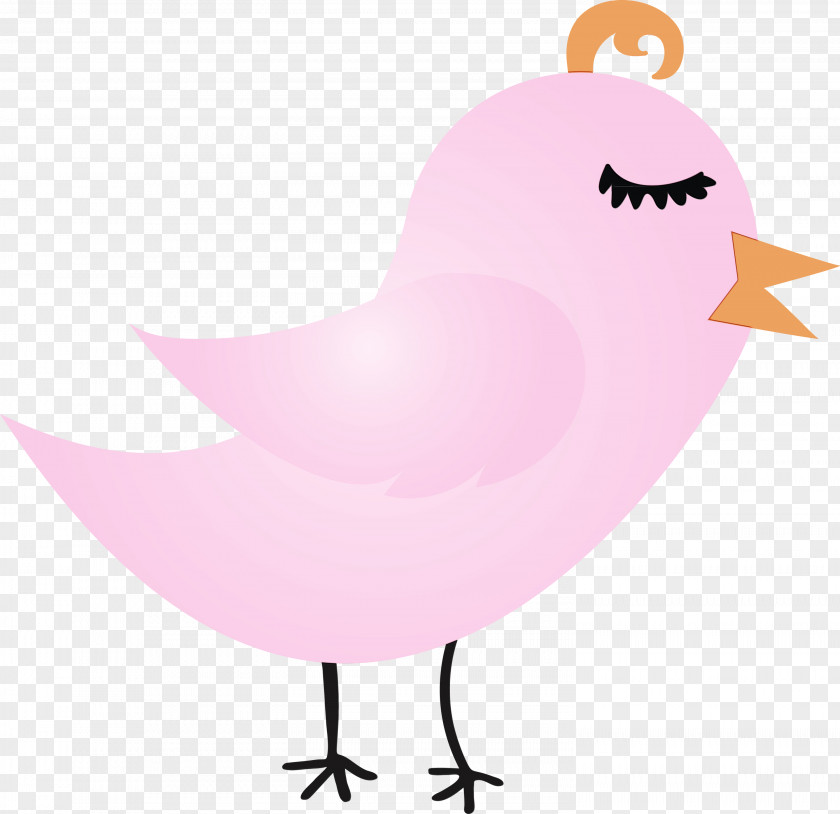 Pink Bird Cartoon Beak Water PNG