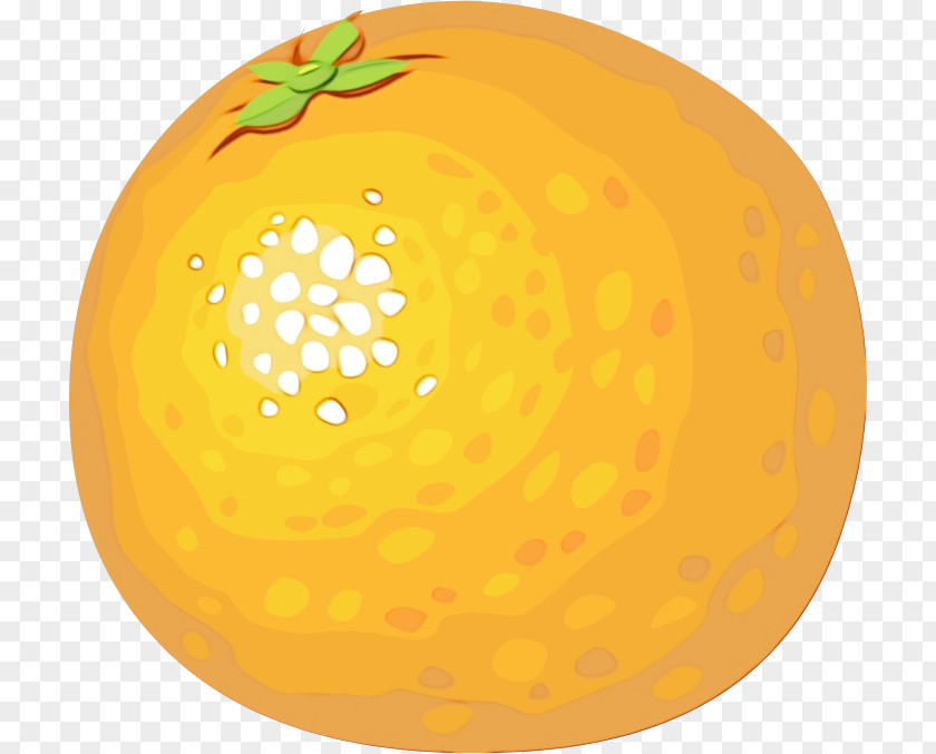 Plant Fruit Golf Ball PNG