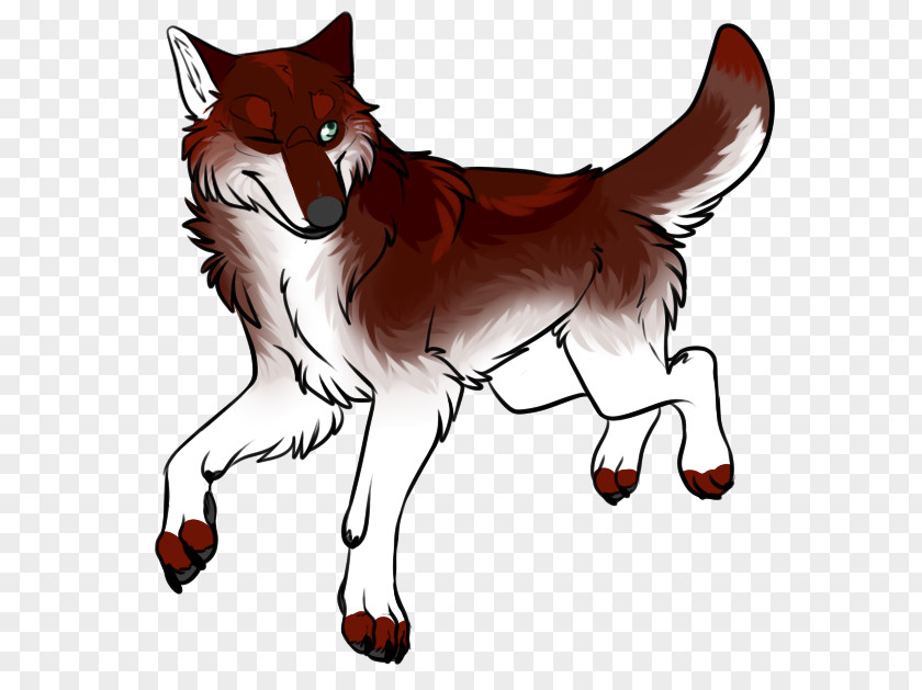 Cherish Cat Dog Red Fox Mammal PNG