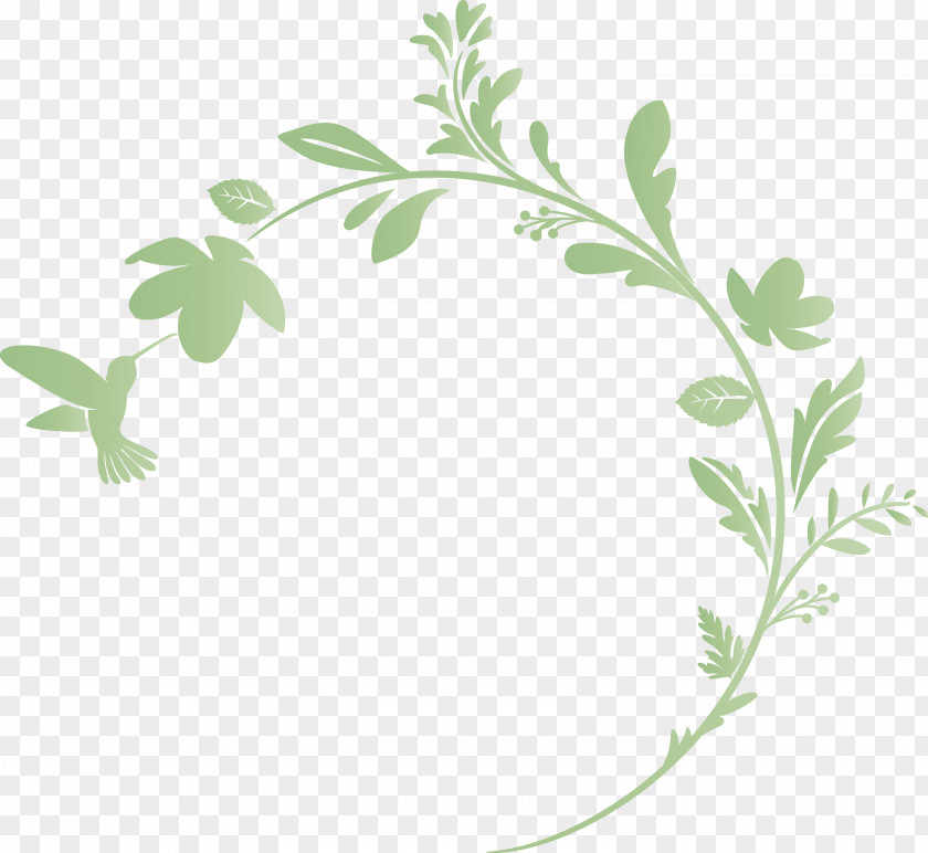 Flower Frame Floral Decoration PNG