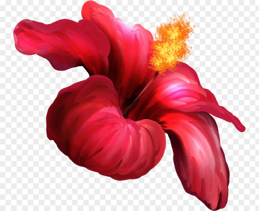 Flower Hibiscus Petal Clip Art PNG