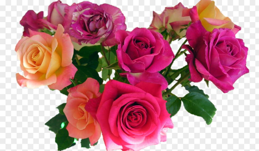 Herb Bouquet Paint Color Clip Art Rose Transparency Flower PNG