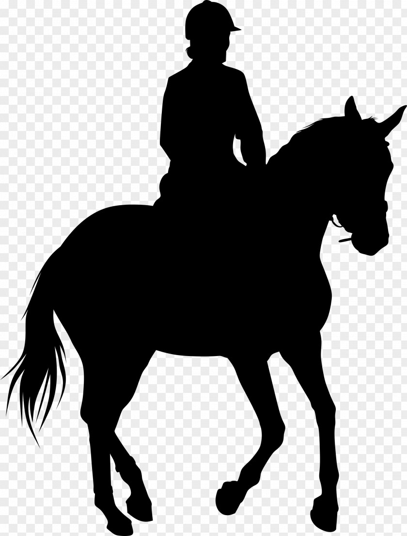 Horse Racing Equestrian Statue Silhouette PNG