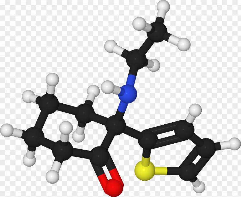 Model Tiletamine Xylazine Drug ASA Physical Status Classification System PNG