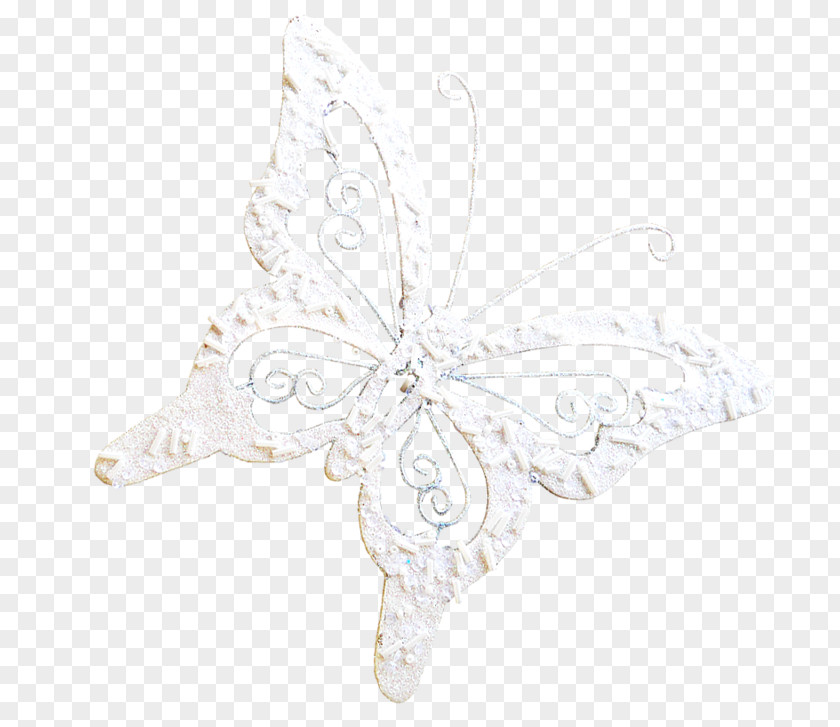 Papillon Butterfly Insect Pollinator Invertebrate Wing PNG