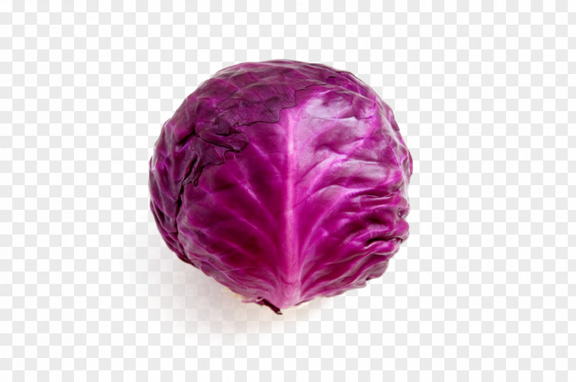 Purple Cabbage Red Broccoli Cauliflower Brussels Sprout PNG