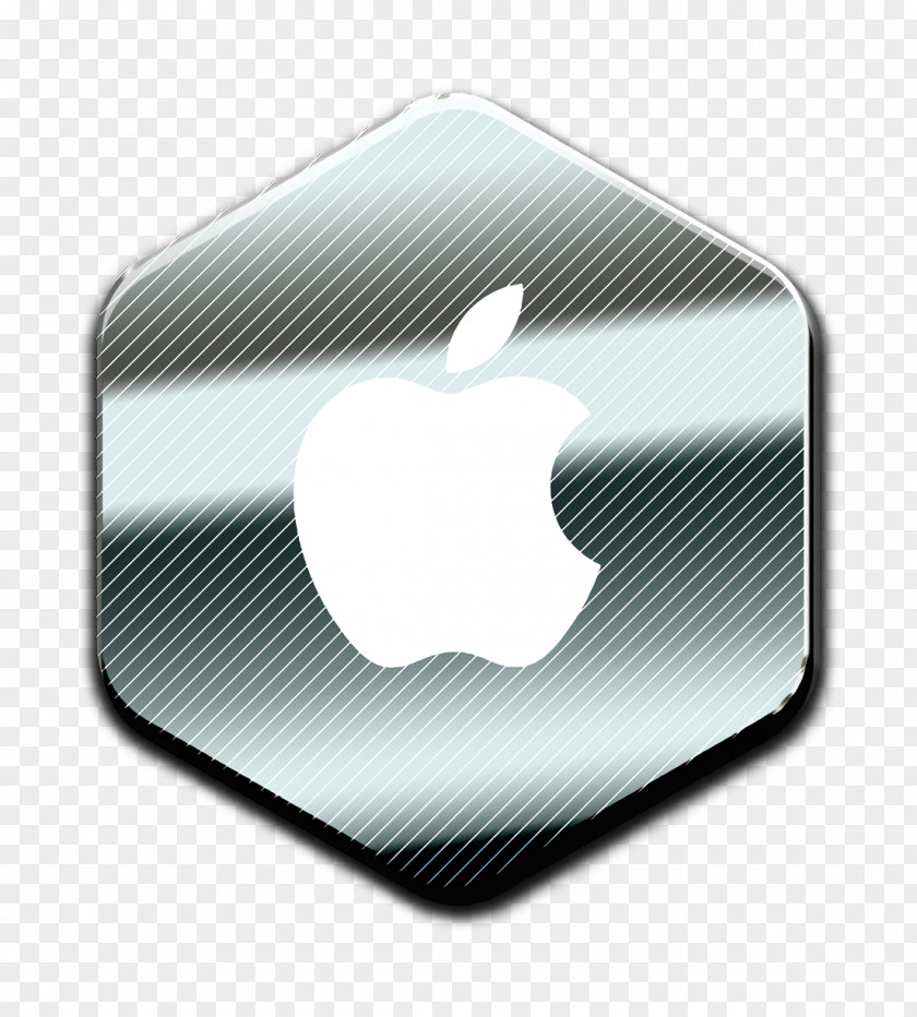 Silver Metal Apple Logo PNG