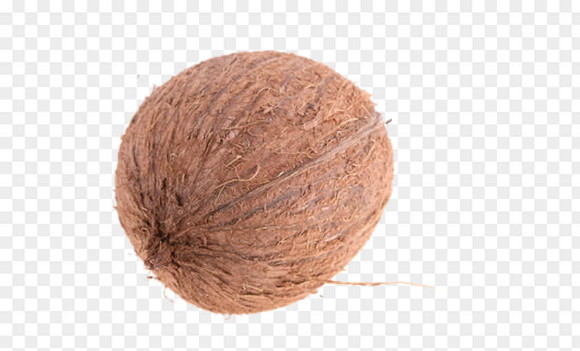 Walnut Wool PNG