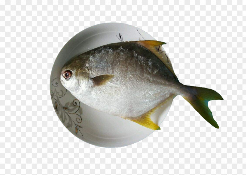 A Pomfret On Plate,Fish Material Japanese Butterfish Pampus Argenteus PNG
