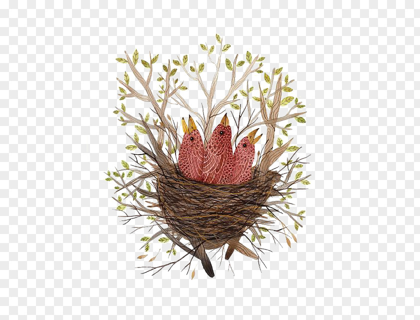 Bird Nest Paper Finch Illustration PNG