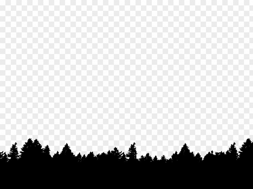 Forest Tree Photography Silhouette PNG
