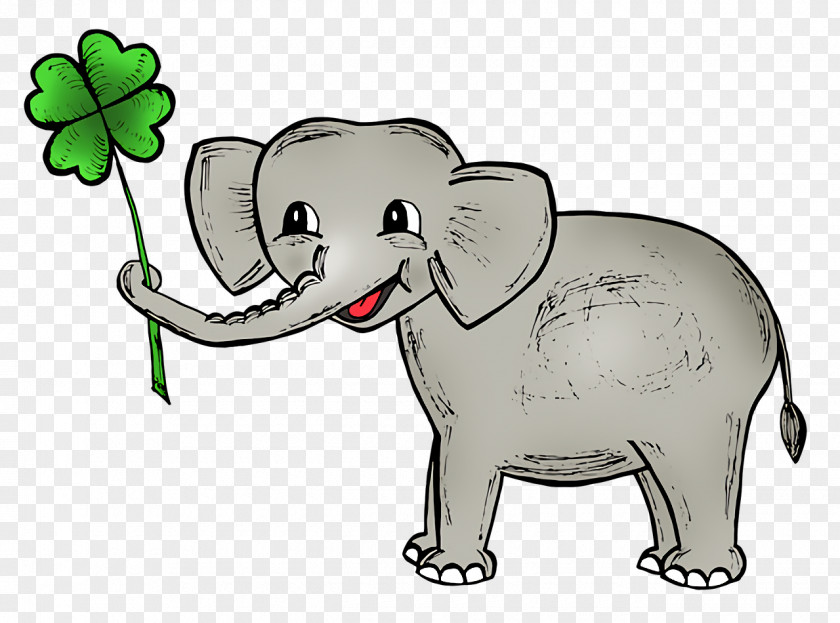 Indian Elephant PNG