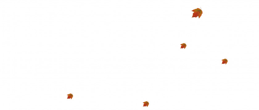 Maple Leaf Floating In Autumn And Winter Sky Computer Wallpaper PNG
