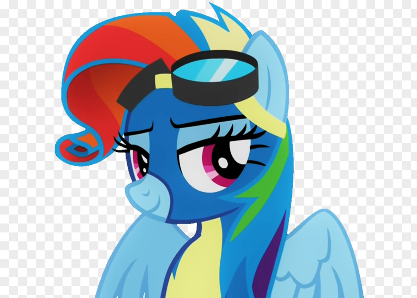 My Little Pony Rainbow Dash Rarity Princess Celestia PNG