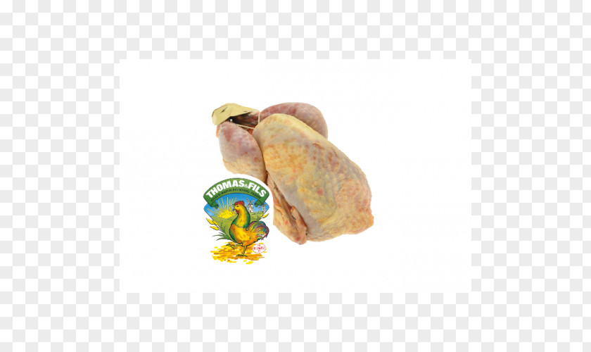 Packaged Corn Bresse Gauloise Guineafowl Free Range Poultry Chicken Meat PNG