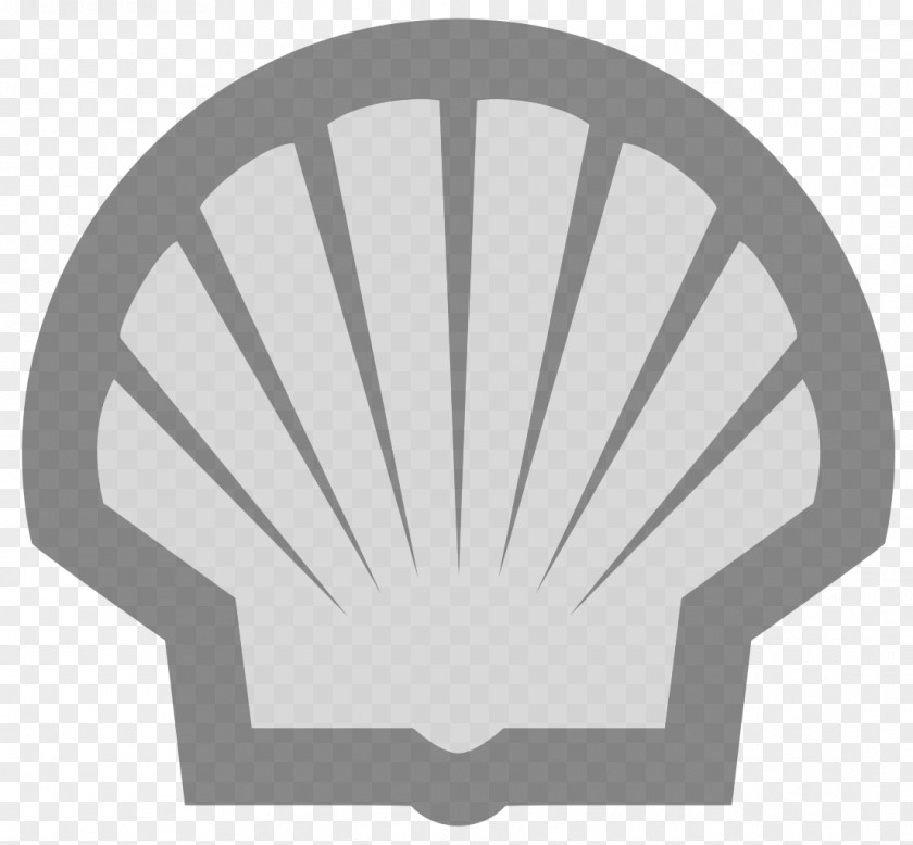 Shell Royal Dutch Logo Oil Company PNG