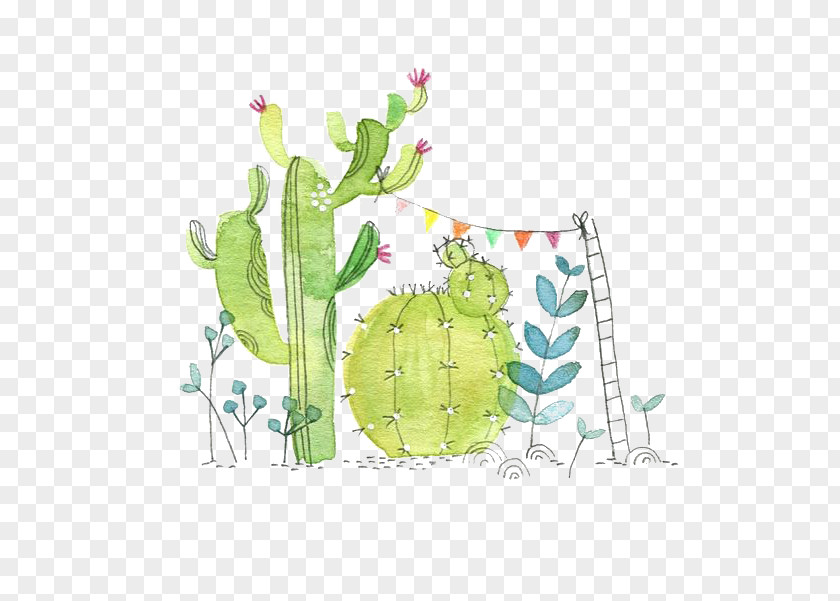 Watercolor Cactus Cactaceae Painting Paper Succulent Plant Illustration PNG