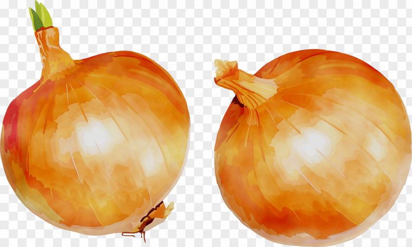 Yellow Onion Shallots Fruit Orange S.A. PNG