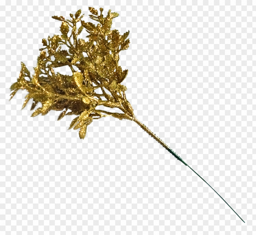 Gold Twig Plant Stem Leaf PNG