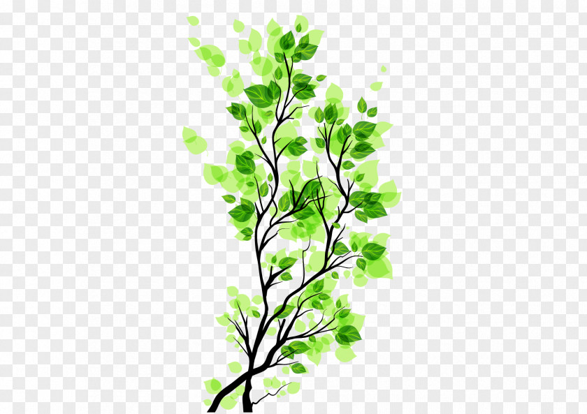 Green Leaves Branch Image Free To Pull The Material Leaf PNG
