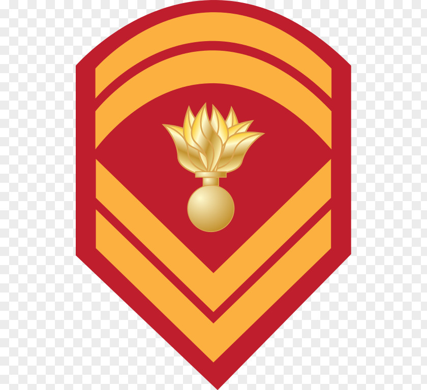 Military Sergeant Rank Chief Petty Officer Army PNG