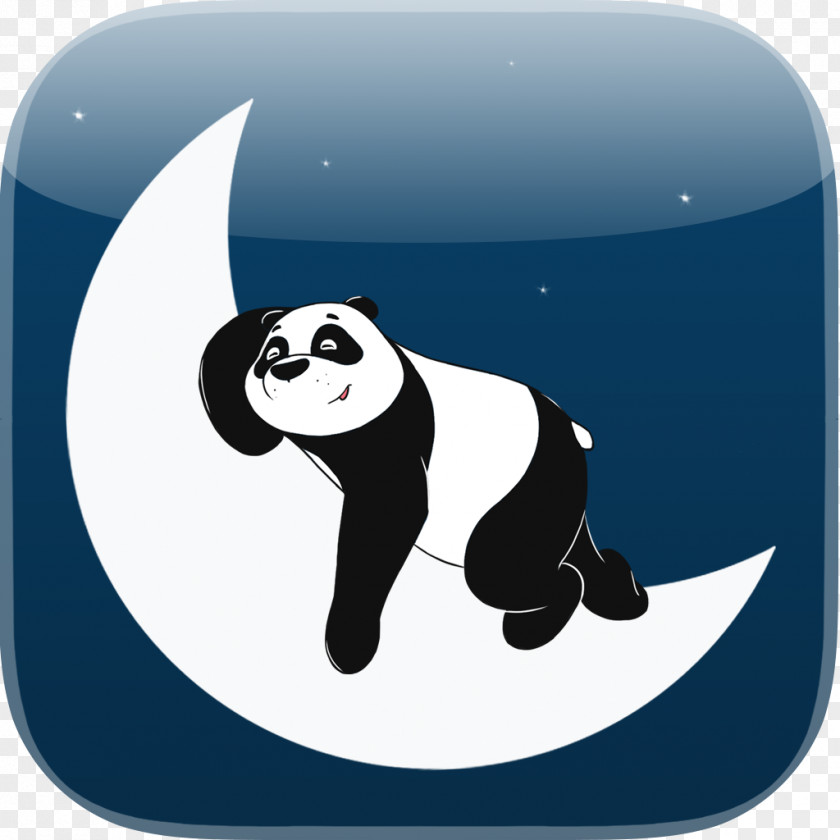 Bear Giant Panda Night Child Sleep PNG