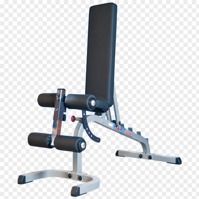 Dumbbell Fitness Centre Bench Weight Training Sport PNG