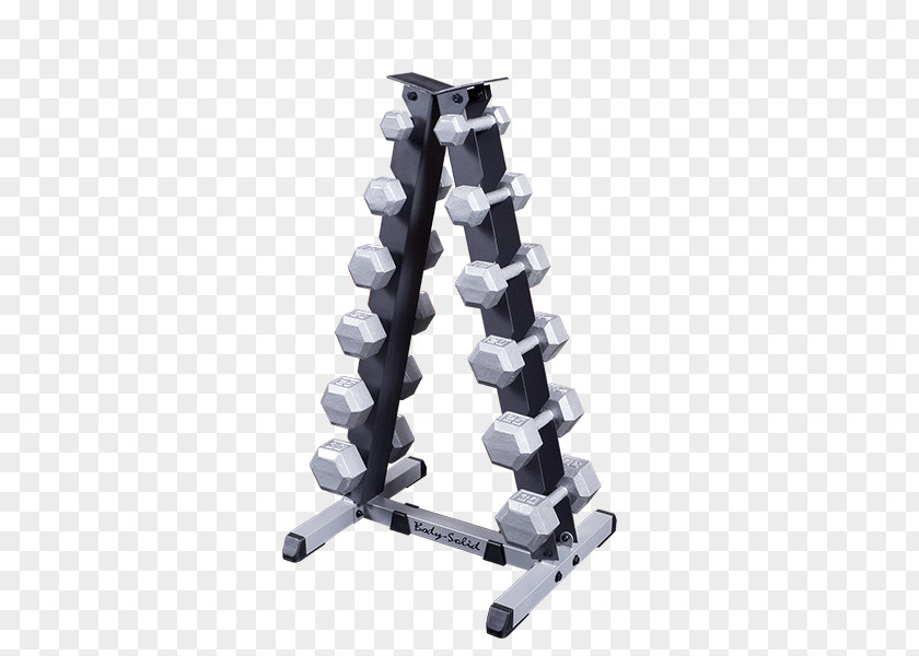 Dumbbell Rack Body Solid GDR44 Vertical Gdr44 2tier Veritcal Physical Fitness BodySolid GDR60 Two Tier PNG