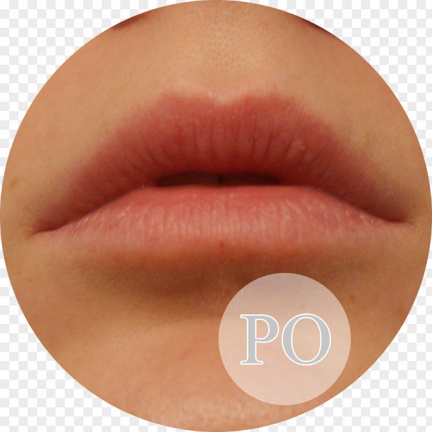 Lipstick Lip Gloss Eyelash Peach PNG