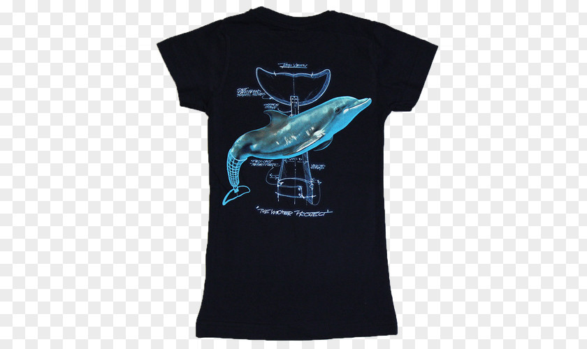T-shirt Clearwater Marine Aquarium Sleeve Winter Clothing PNG