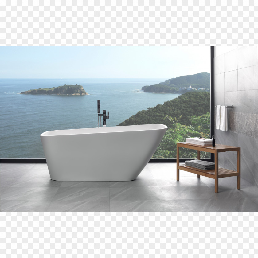 Bathtub Bideh Accessible Plumbing Fixtures Shower PNG