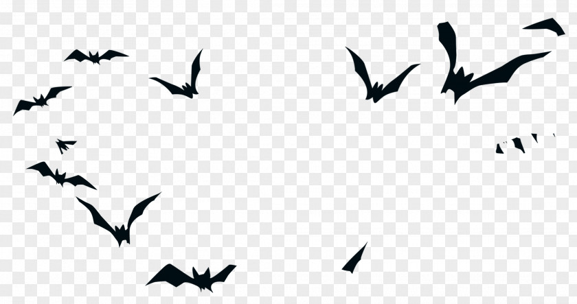 Black Bat Bird Halloween Silhouette PNG
