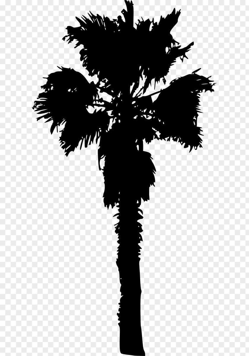 Family Tree Palm Trees Plants Image PNG
