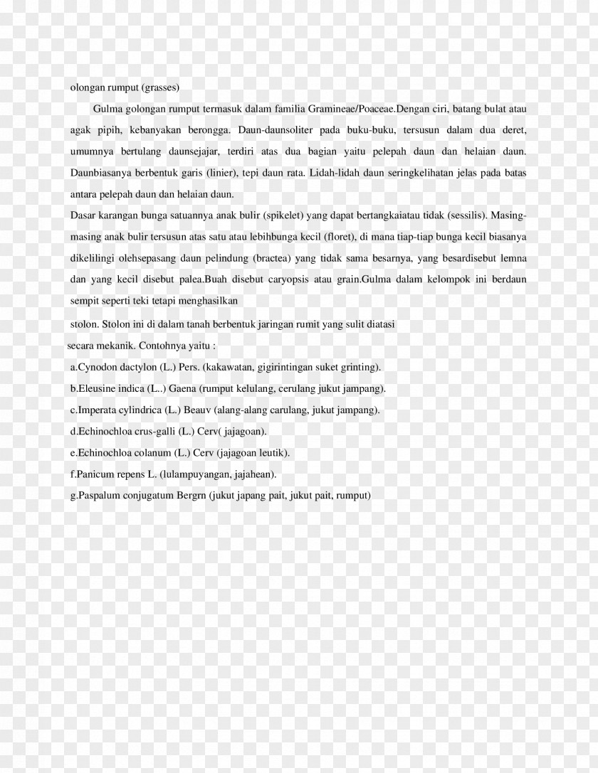 Line Document Paragraph PNG