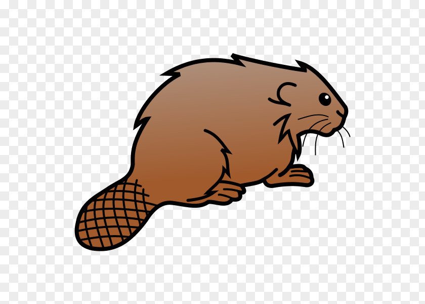 Lodge Eurasian Beaver Dam Inkscape Whiskers Clip Art PNG