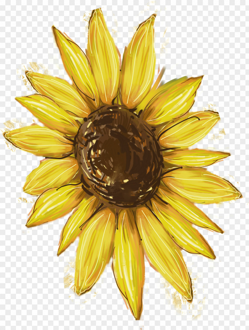 Sunflower Mural Common Download PNG