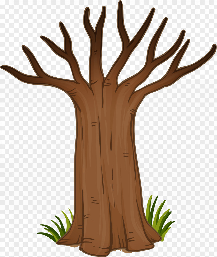 Trunk PNG clipart PNG