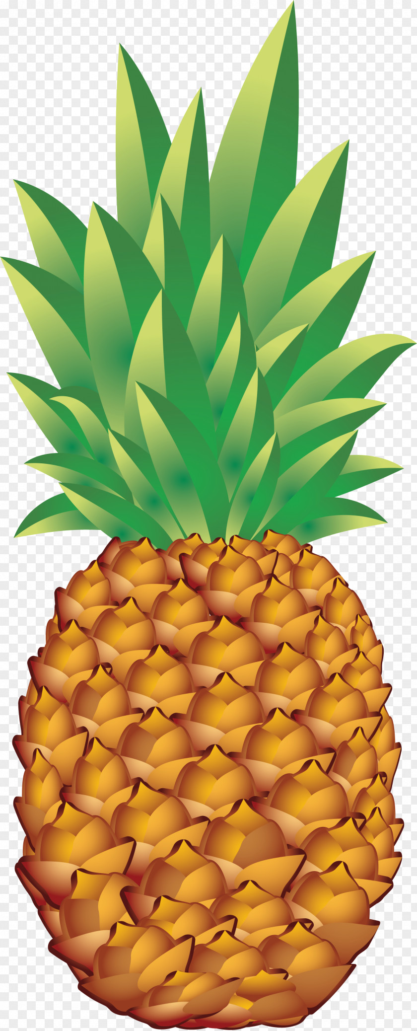 Bun Pineapple Jus D'ananas PNG