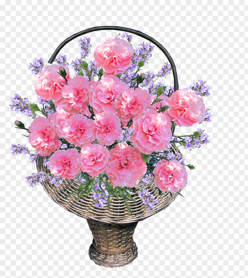 CARNATION Carnation Cut Flowers Floral Design Flower Bouquet PNG