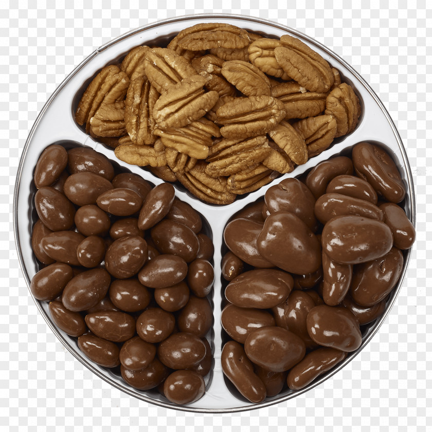 Chocolate Chocolate-coated Peanut Praline Pecan Gluten-free Diet PNG