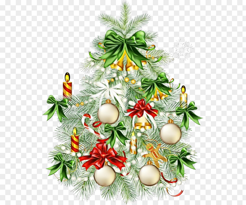 Christmas Eve Plant Decoration PNG