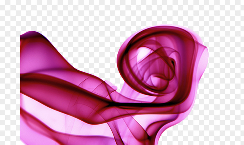 Dream Curve Pink PNG