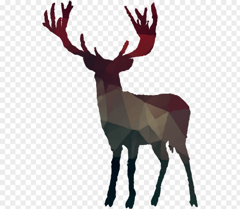 Moose Horn Reindeer PNG