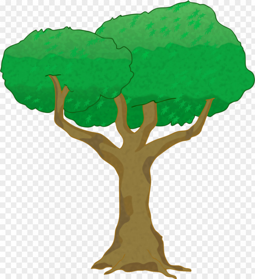 O Vector Tree Woody Plant Branch PNG