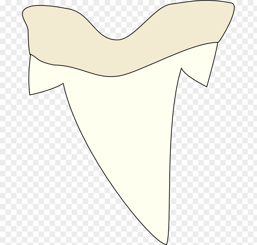 Pictures Of A Tooth Shark Clip Art PNG