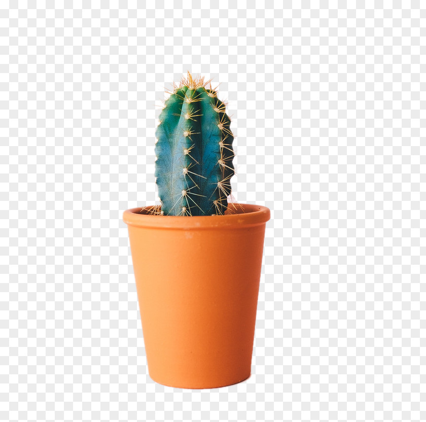 Pots Of Cactus Template Paper Rxe9sumxe9 PNG
