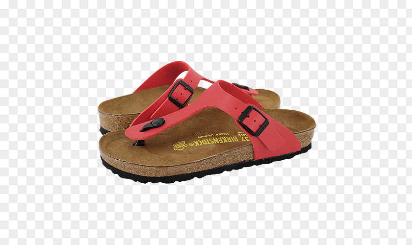 Sandal Slipper Slide Shoe Walking PNG
