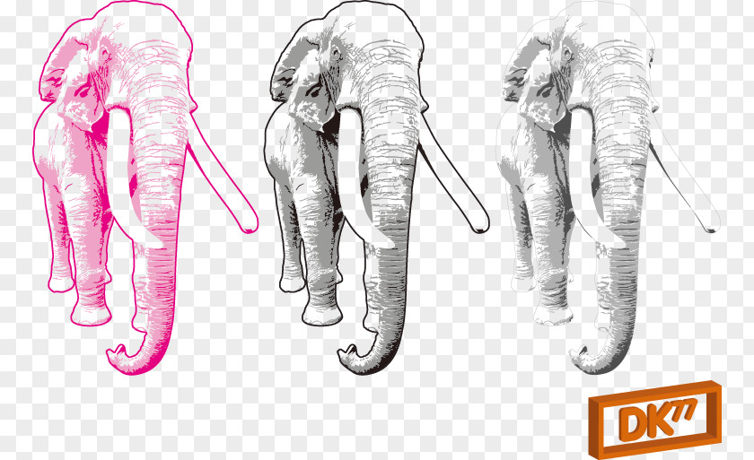 Three Elephants African Elephant Clip Art PNG