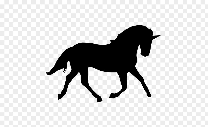 Unicorn Head Arabian Horse Tennessee Walking Morgan Silhouette PNG